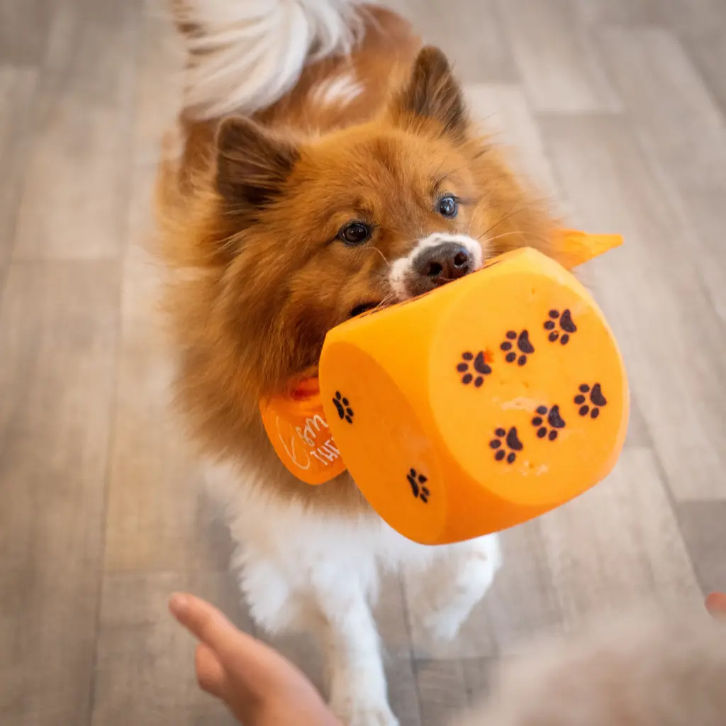 Nicole Czwielong Alt&Hund Therapiebegleithundeteam