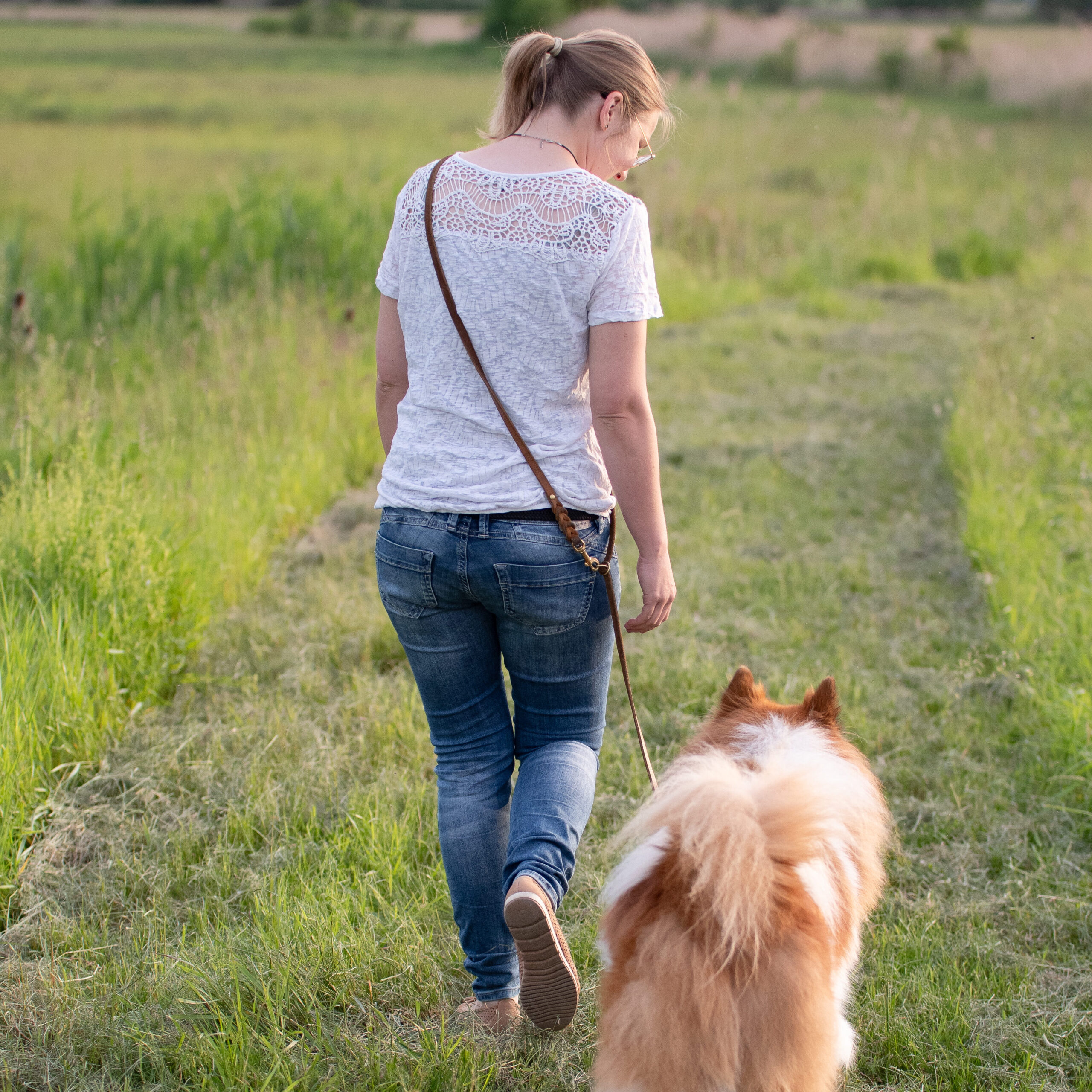 Hund und Mensch gehen spazieren