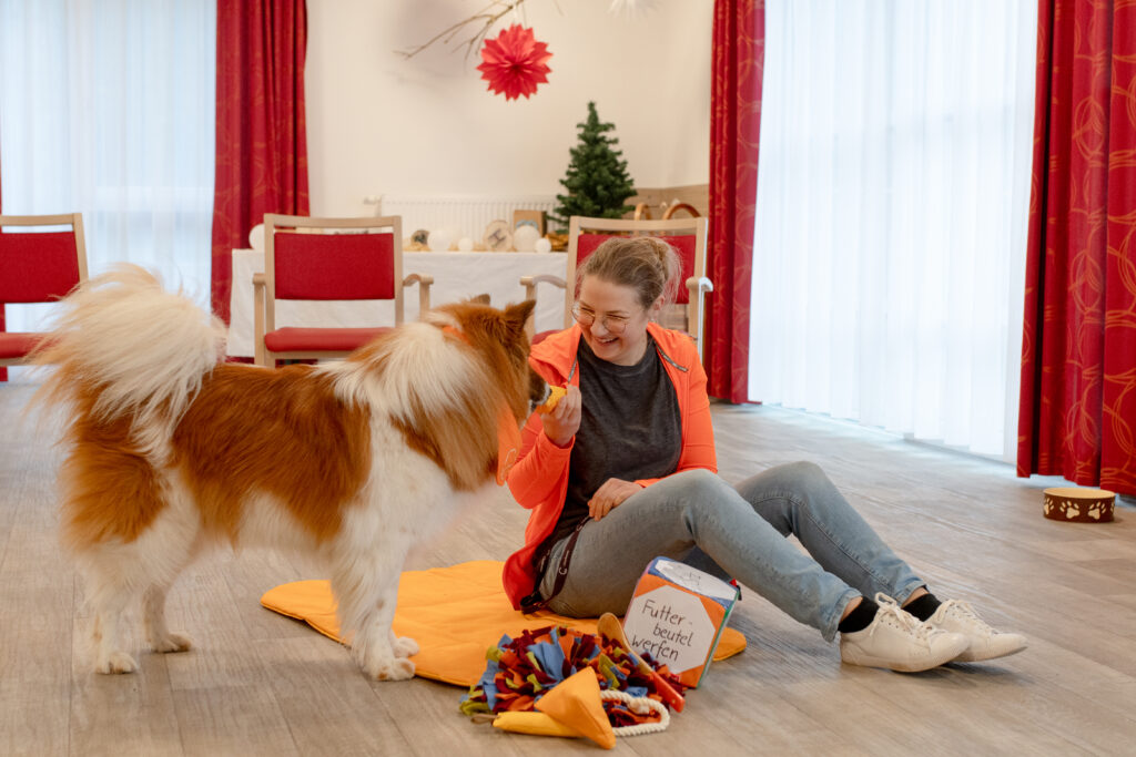 Hund und Mensch im gemeinsamen Spiel vor einem tiergestützten Setting